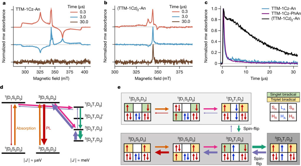 Reversible spin-optical interface in luminescent organic radicals