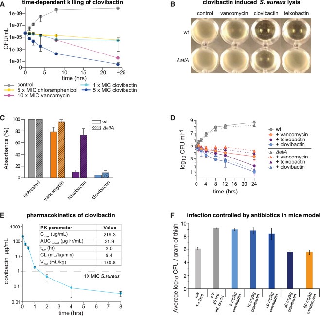 An antibiotic from an uncultured bacterium binds to an immutable target