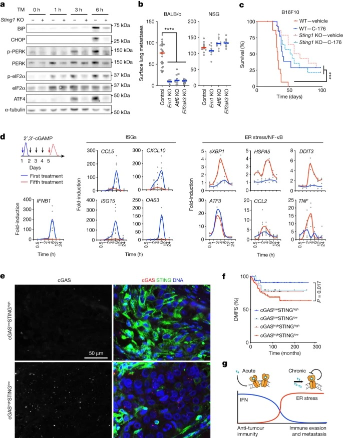 Non-cell-autonomous cancer progression from chromosomal instability