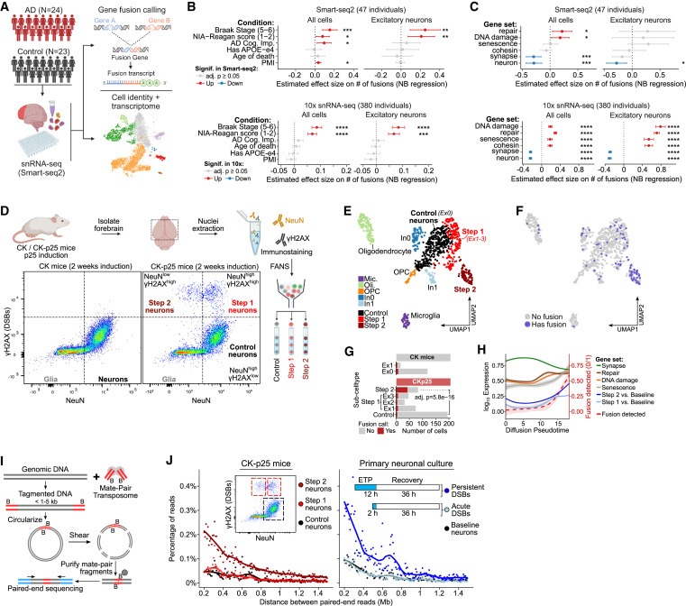 Neuronal DNA double-strand breaks lead to genome structural variations and 3D genome disruption in neurodegeneration