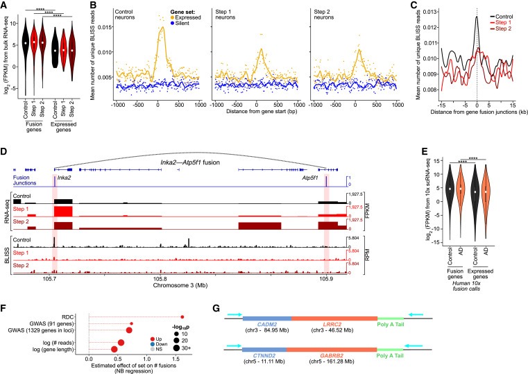 Neuronal DNA double-strand breaks lead to genome structural variations and 3D genome disruption in neurodegeneration