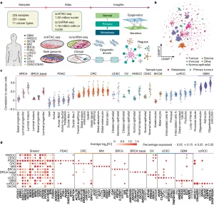 Read more about the article Epigenetic regulation during cancer transitions across 11 tumour types