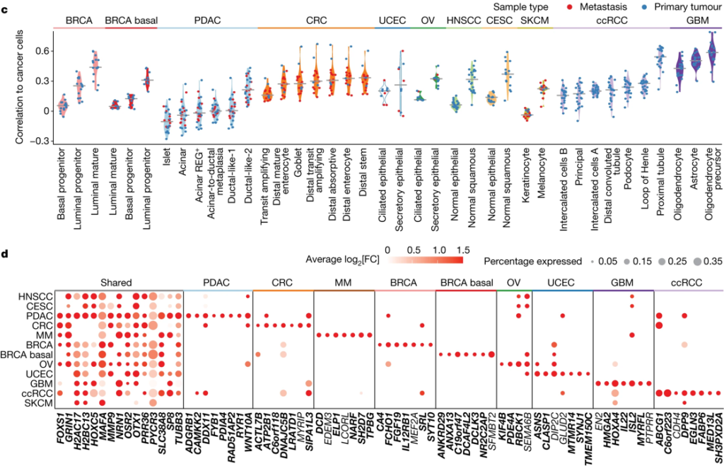 Chromatin accessibility patterns across 11 cancer types.