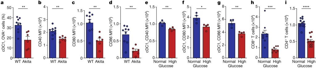 Fig. 3: High glucose impairs lung DC function.