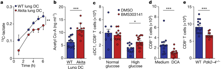 Fig. 4: Hyperglycaemia dysregulates lung DC metabolism and acetylation.