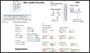 Read more about the article Human-like systematic generalization through a meta-learning neural network