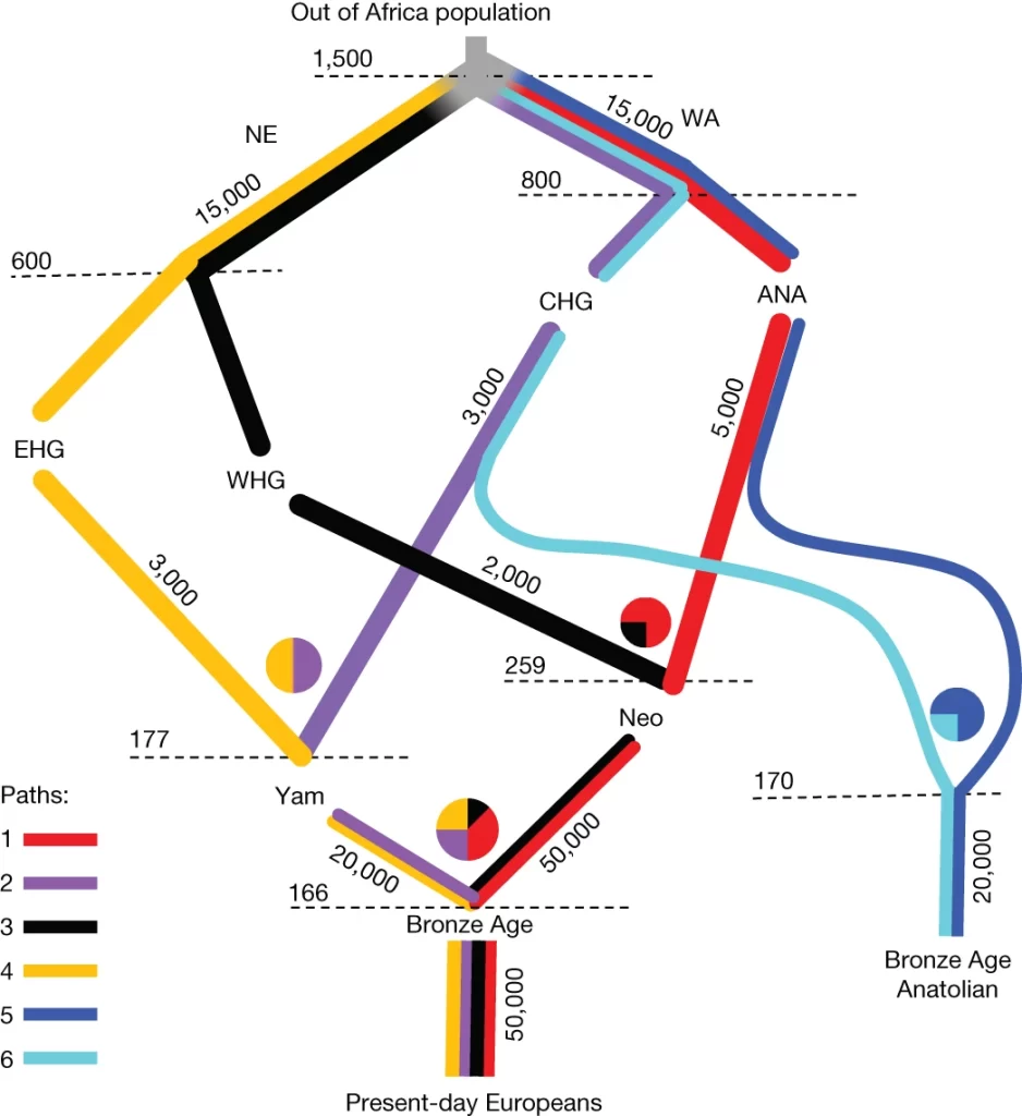 The selection landscape and genetic legacy of ancient Eurasians