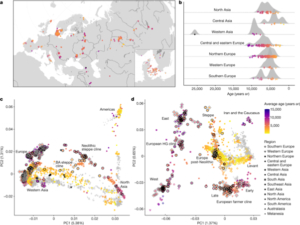 Read more about the article Population genomics of post-glacial western Eurasia