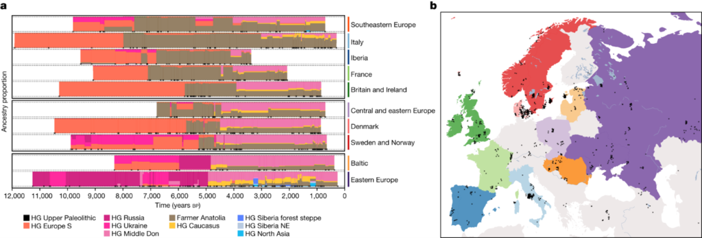 [Fig2] Population genomics of post-glacial western Eurasia