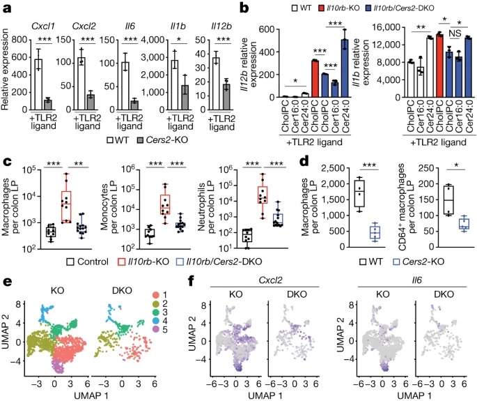 IL-10 constrains sphingolipid metabolism to limit inflammation