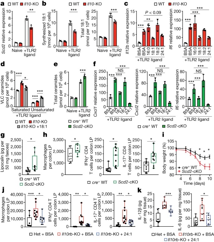 IL-10 constrains sphingolipid metabolism to limit inflammation