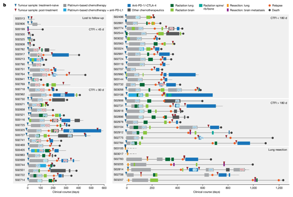 [Fig. 1] Evolutionary trajectories of small cell lung cancer under therapy