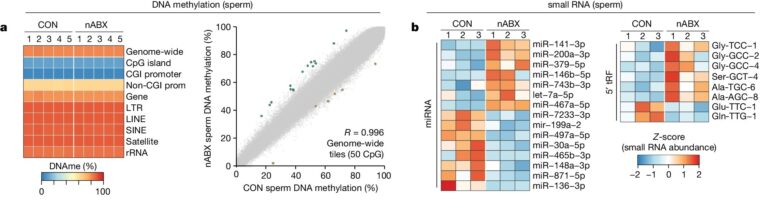 Paternal microbiome perturbations impact offspring fitness