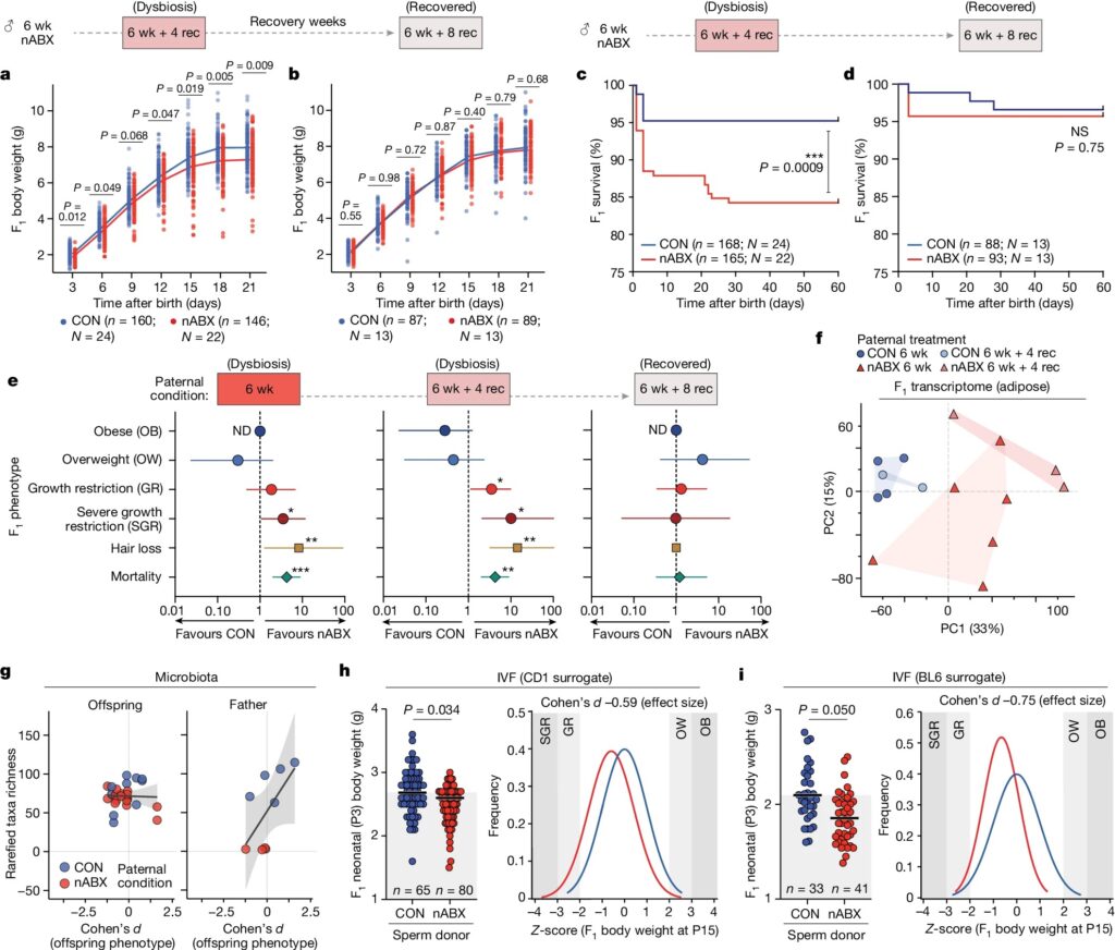 Paternal microbiome perturbations impact offspring fitness