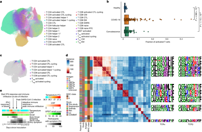 [Fig4] Human SARS-CoV-2 Challenge Uncovers Local and Systemic Response Dynamics