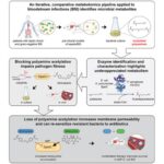 A metabolomics pipeline highlights microbial metabolism in bloodstream infections