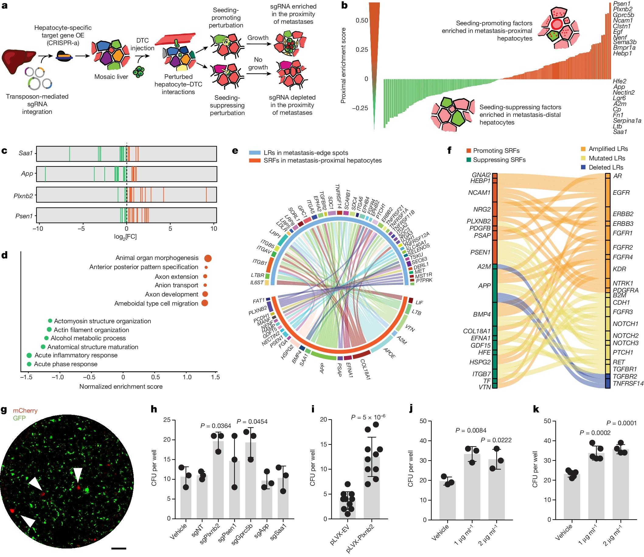 Read more about the article In vivo interaction screening reveals liver-derived constraints to metastasis