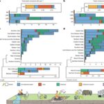 A local-to-global emissions inventory of macroplastic pollution