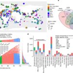 Global marine microbial diversity and its potential in bioprospecting