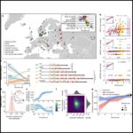 Recurrent evolution and selection shape structural diversity at the amylase locus