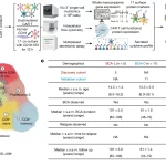 Single-cell CAR T atlas reveals type 2 function in 8-year leukaemia remission