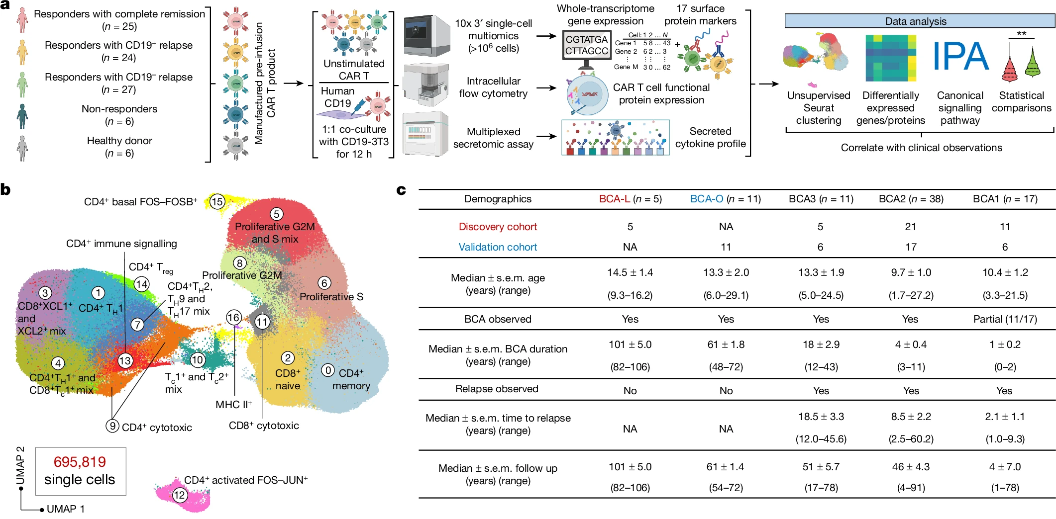 Read more about the article Single-cell CAR T atlas reveals type 2 function in 8-year leukaemia remission