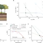 Global influence of soil texture on ecosystem water limitation