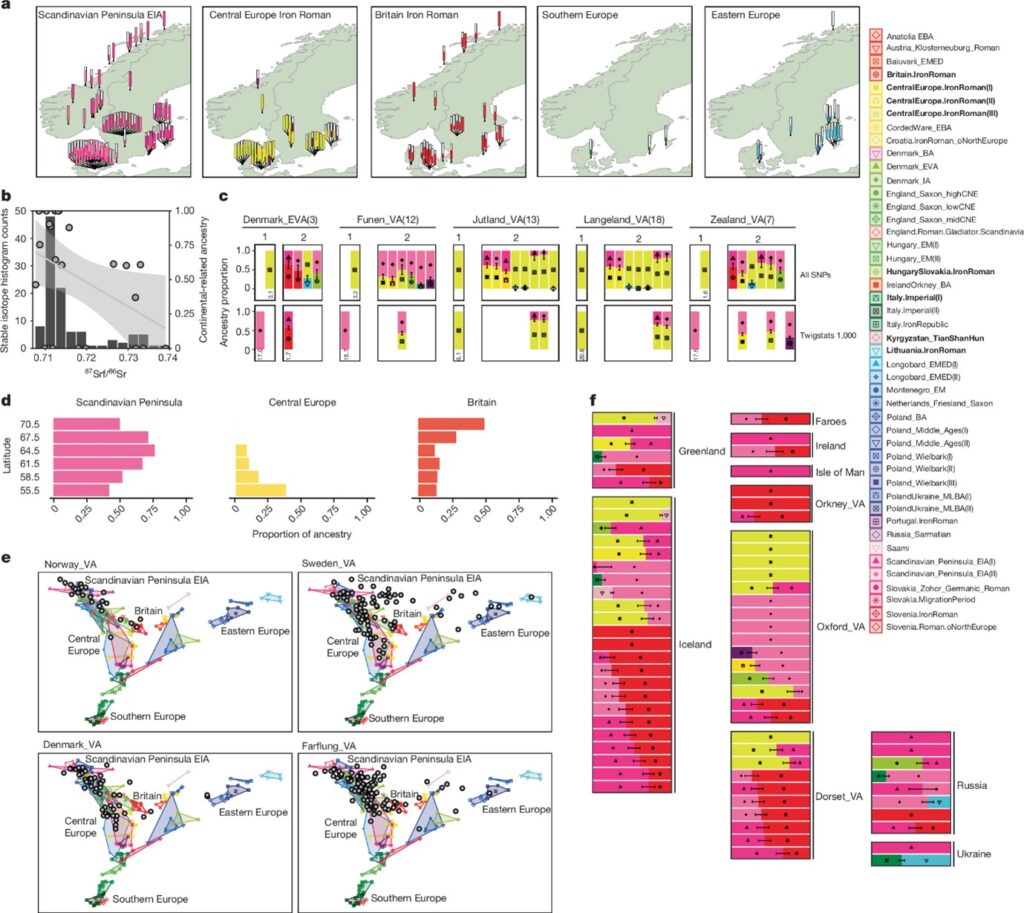 High-resolution genomic history of early medieval Europe