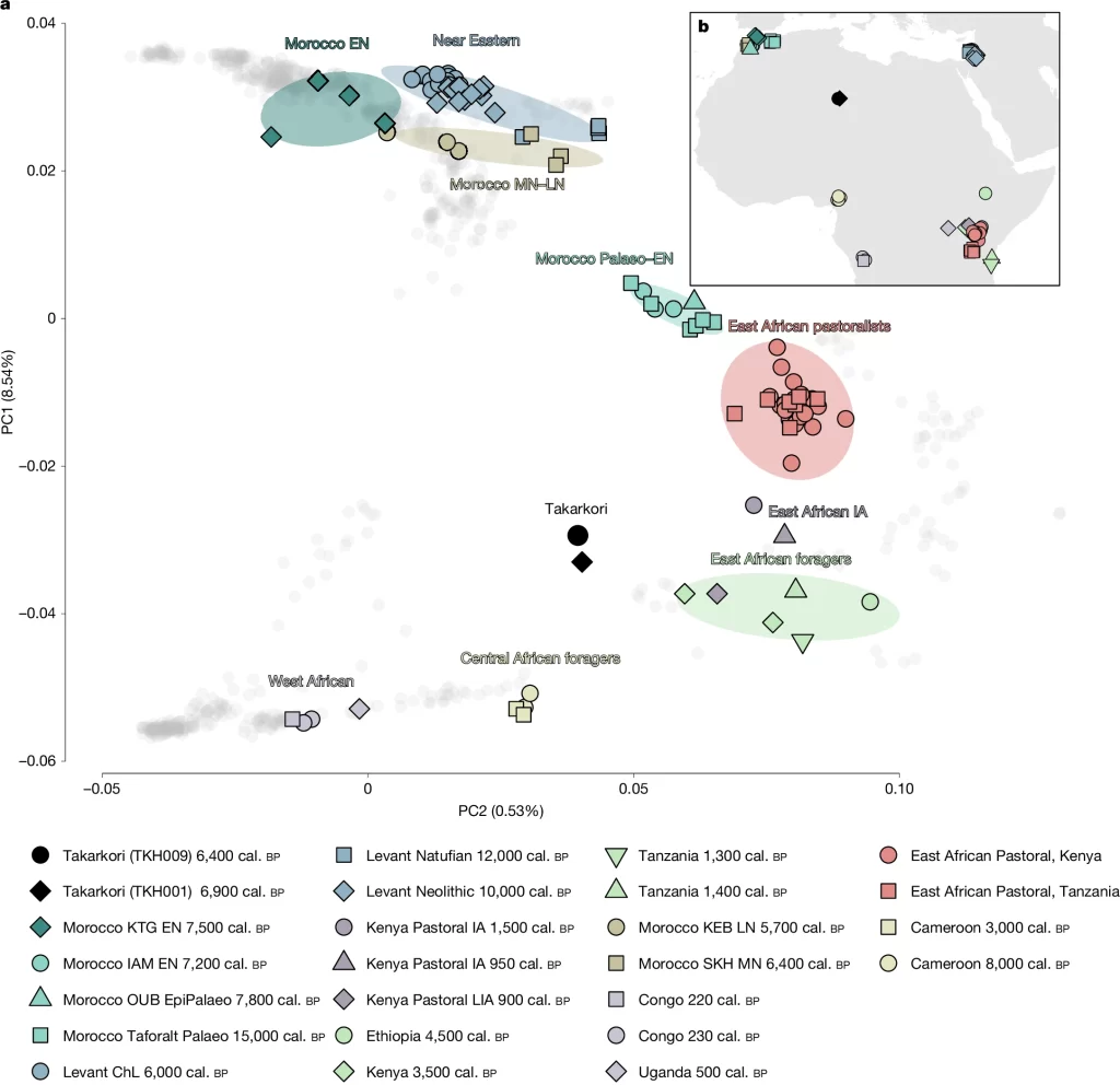 Fig 2: PCA calculated on present-day individuals from Africa, the Near East and Southern Europe, and the geographical locations of these individuals.