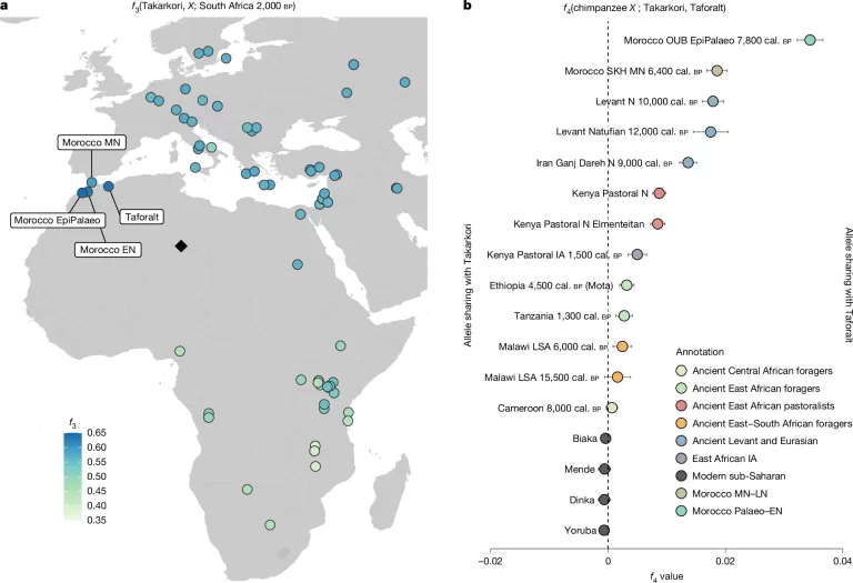Fig 3: Shared genetic drift and affinity with Takarkori genomes.