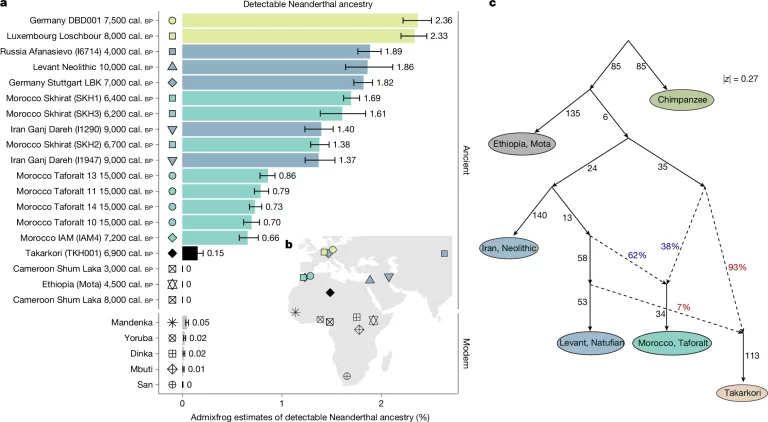 Fig 4: Neanderthal ancestry and admixture graph.